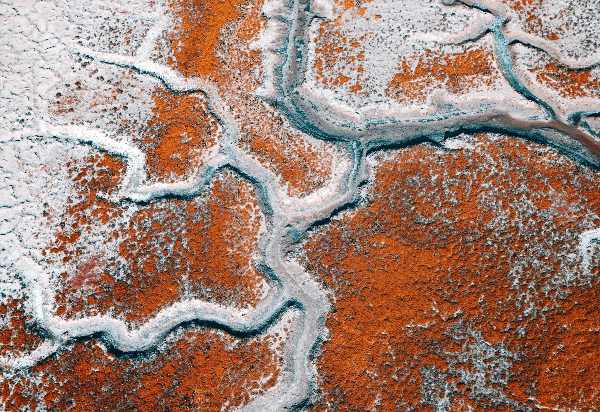 El amor detrás de la Ley de Dios
